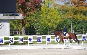 第25回全国障がい者馬術大会&第1回全日本パラ馬術大会の画像