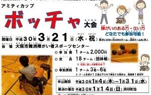 アミティカップ　ボッチャ大会の画像