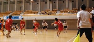 平成30年度 彩の国ふれあいピックバレーボール大会（知的障がいの部）