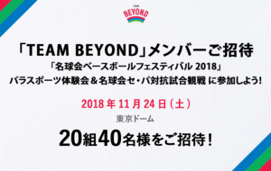 「名球会ベースボールフェスティバル2018」パラスポーツ体験会＆名球会セ・パ対抗試合観戦 参加者募集！の画像