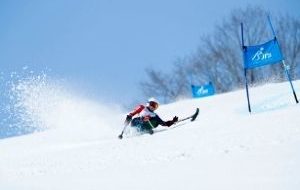 天皇陛下御在位三十年記念 2019ジャパンパラアルペンスキー競技大会の画像