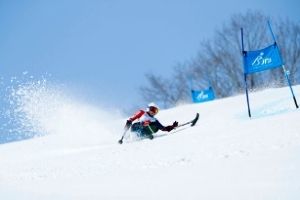天皇陛下御在位三十年記念 2019ジャパンパラアルペンスキー競技大会