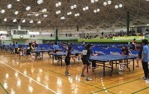 2019FIDジャパン・チャンピオンシップ卓球大会（第22回）の画像