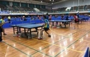 パラFIDジャパン・年代別オープン卓球大会2019(第3回)の画像