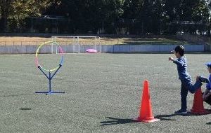 パラスポーツ体験教室（3月）～フライングディスク～の画像