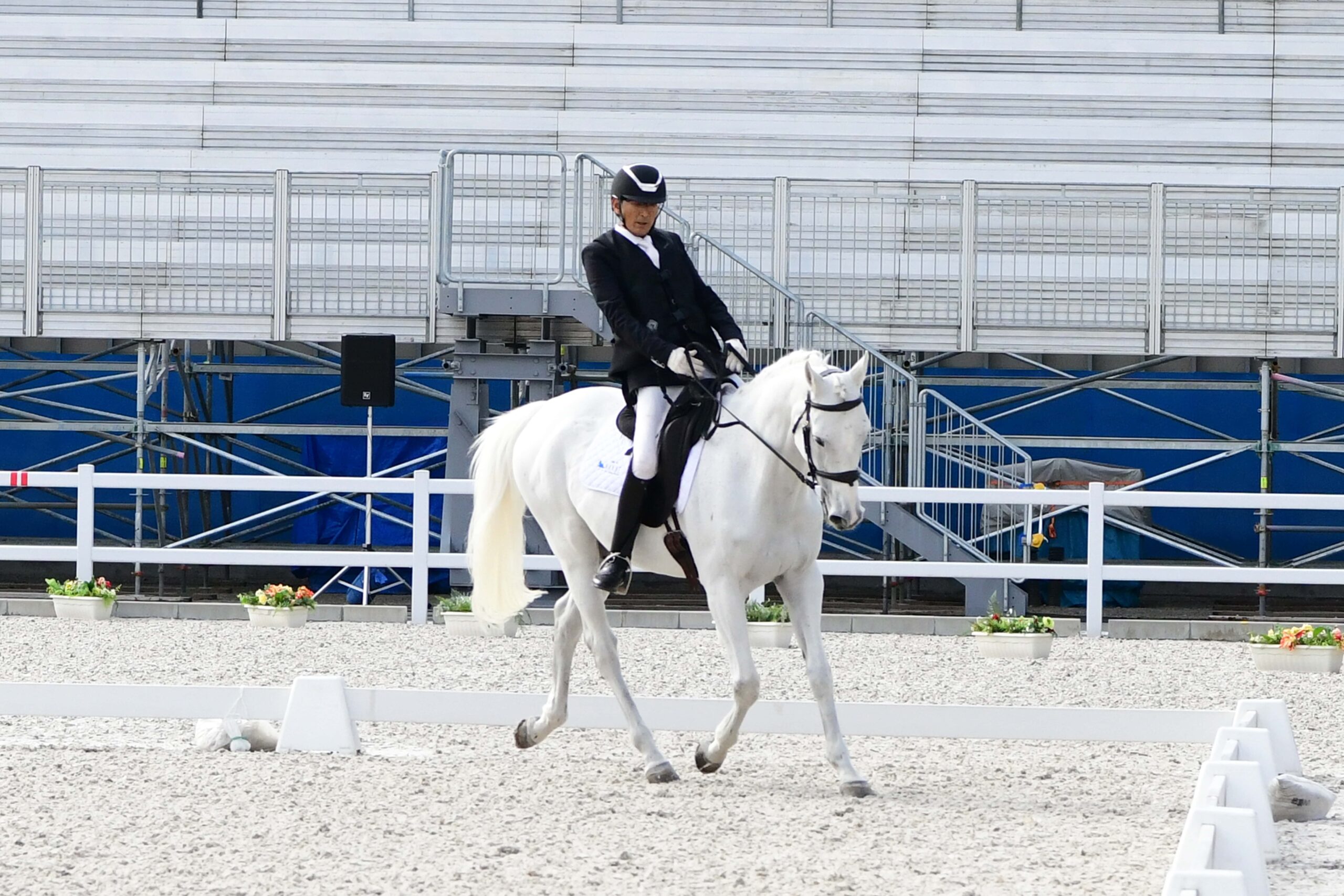 「第4回全日本パラ馬術大会」でTEAM BEYONDリモート観戦会、オンライン交流会を開催！人馬一体の華麗な競技を自宅で堪能