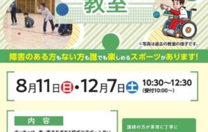 ボッチャ教室（小金井）【12月７日（土）開催】の画像